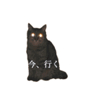 ソラとレオン（個別スタンプ：22）