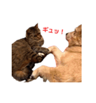 ソラとレオン（個別スタンプ：24）