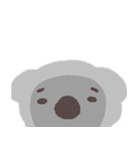 コアラのこあちゃん（個別スタンプ：16）