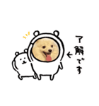 ポメラニアンのナミNO5（個別スタンプ：3）