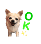 まりぶすたんぷ（個別スタンプ：3）
