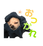 まりぶすたんぷ（個別スタンプ：6）