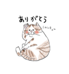 親戚のぽってり猫達（個別スタンプ：1）