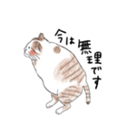 親戚のぽってり猫達（個別スタンプ：4）