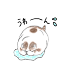 親戚のぽってり猫達（個別スタンプ：5）