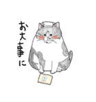 親戚のぽってり猫達（個別スタンプ：10）
