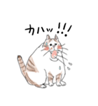 親戚のぽってり猫達（個別スタンプ：11）