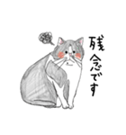 親戚のぽってり猫達（個別スタンプ：16）