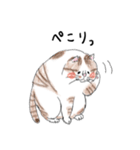 親戚のぽってり猫達（個別スタンプ：25）