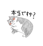 親戚のぽってり猫達（個別スタンプ：26）