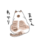 親戚のぽってり猫達（個別スタンプ：35）