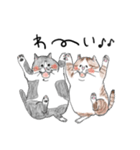 親戚のぽってり猫達（個別スタンプ：39）