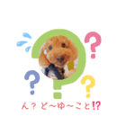 ウチの子トイプー みっちぃ＆アリエル（個別スタンプ：8）