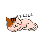 涎猫（個別スタンプ：30）