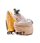イタグレてぃののスタンプ（個別スタンプ：6）