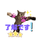 うるちゃとスタンプ3（個別スタンプ：6）