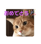 うるちゃとスタンプ3（個別スタンプ：9）