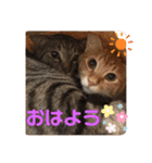 うるちゃとスタンプ3（個別スタンプ：10）