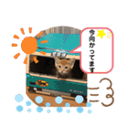 うるちゃとスタンプ3（個別スタンプ：21）
