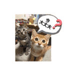うるちゃとスタンプ3（個別スタンプ：25）