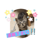 うるちゃとスタンプ3（個別スタンプ：26）