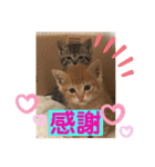 うるちゃとスタンプ3（個別スタンプ：27）
