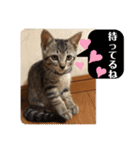 うるちゃとスタンプ3（個別スタンプ：28）