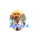 yuma_yuma（個別スタンプ：6）