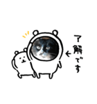 うちのちい（個別スタンプ：3）