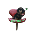 愛犬の日常！？（個別スタンプ：7）