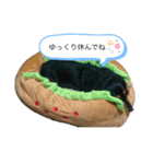愛犬の日常！？（個別スタンプ：9）
