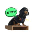 愛犬の日常！？（個別スタンプ：11）