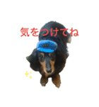 愛犬の日常！？（個別スタンプ：18）