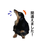 愛犬の日常！？（個別スタンプ：22）