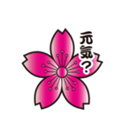 家紋 大和桜 日常会話 NO.2（個別スタンプ：12）