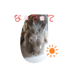 うさぎの邏流（個別スタンプ：4）