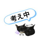 青＆紺⑥（個別スタンプ：2）