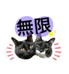 青＆紺⑥（個別スタンプ：3）