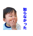 りんたろうスタンプ 1（個別スタンプ：36）