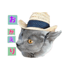 ロワくんとノルくんの仲良しTimes part2（個別スタンプ：12）