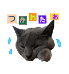 ロワくんとノルくんの仲良しTimes part2（個別スタンプ：13）