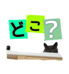ロワくんとノルくんの仲良しTimes part2（個別スタンプ：17）