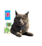ロワくんとノルくんの仲良しTimes part2（個別スタンプ：19）