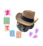 ロワくんとノルくんの仲良しTimes part2（個別スタンプ：24）