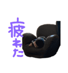 れあたん2（個別スタンプ：18）