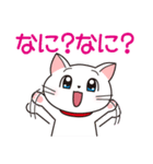 白猫チェリー（日本語ver.）（個別スタンプ：27）