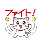 白猫チェリー（日本語ver.）（個別スタンプ：31）