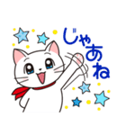 白猫チェリー（日本語ver.）（個別スタンプ：40）