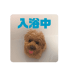 オリライわんわんスタンプ（個別スタンプ：5）