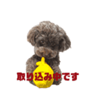 オリライわんわんスタンプ（個別スタンプ：10）